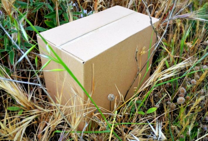 cartón biodegradable